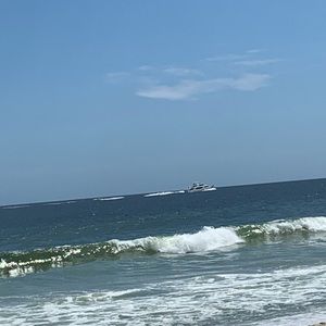 Meet your Posher, Annette